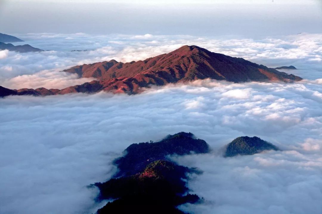 冬季贵州 | 雷公山,冬季里一抹亮丽的风景线