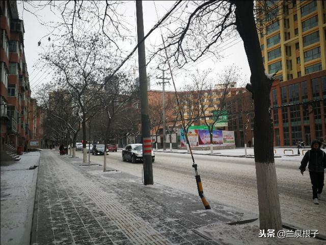 下雪了兰州旱晨街道马路上 仿佛是银子铸成得