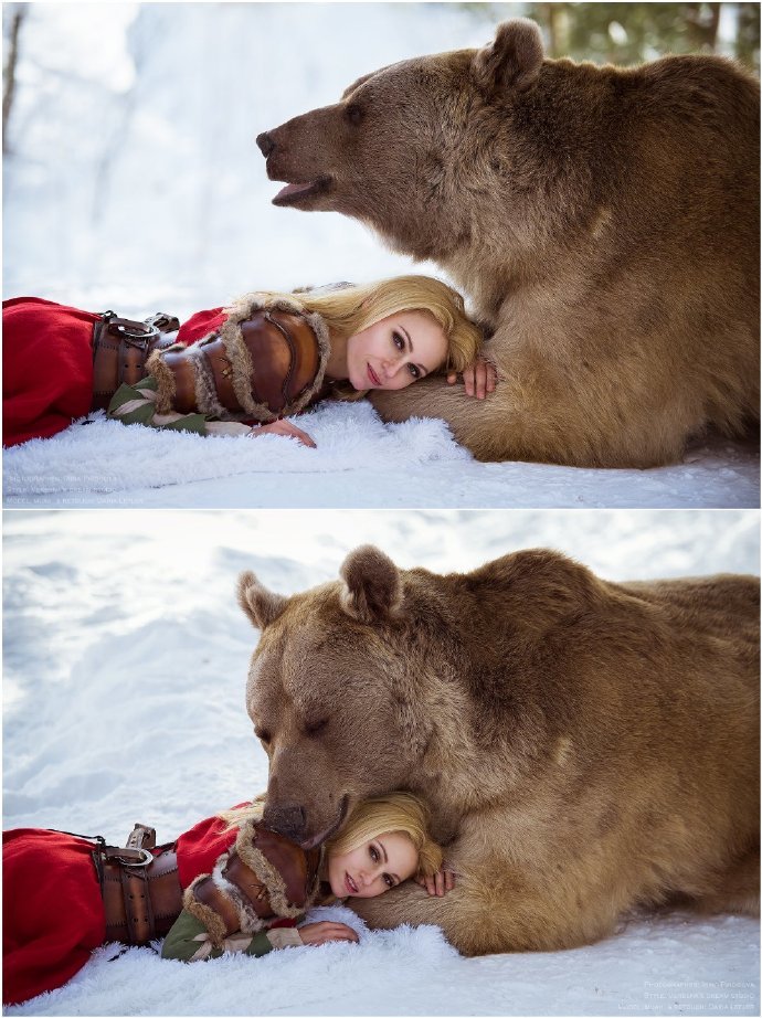 俄羅斯美女演繹《美女與野獸》 冰天雪地與熊「共舞」 遊戲 第9張