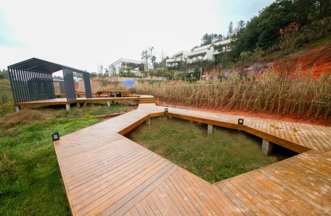 宜宾城区最大的生态公园即将开放!花海,别墅,泳池