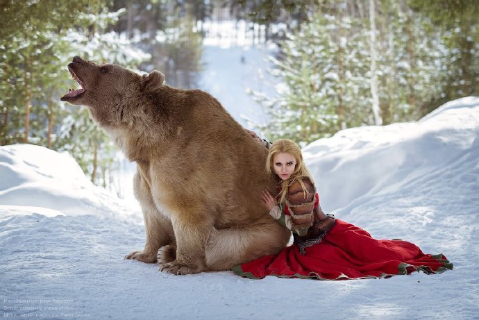 俄羅斯美女演繹《美女與野獸》 冰天雪地與熊「共舞」 遊戲 第2張