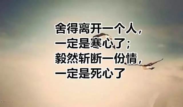 赵姓很霸气的一段话,需要你时你不陪,放弃你时你是谁