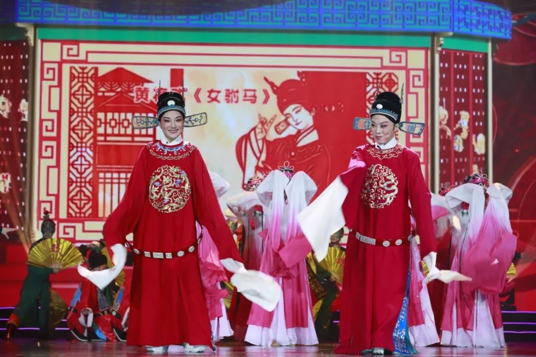 黄梅戏《女驸马》选段杨帅学(中国戏剧梅花奖获得者)盂祥礼(豫剧表演