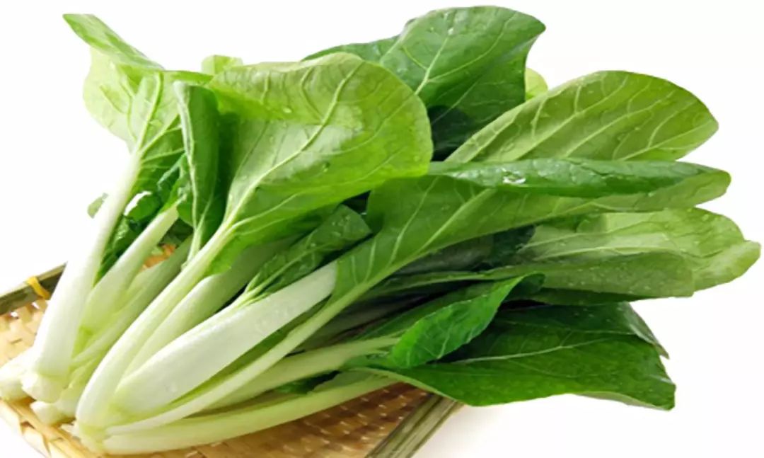 冬季常吃五種蔬菜幫助我們清火潤肺 未分類 第4張