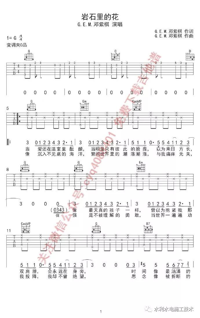 岩石里的花会开曲谱_岩石里的花邓紫棋照片