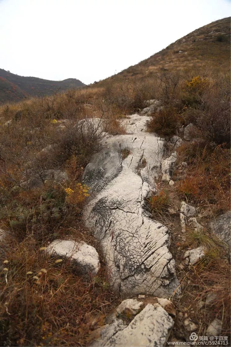 昔阳县人口最多的村_昔阳县东固壁村图片