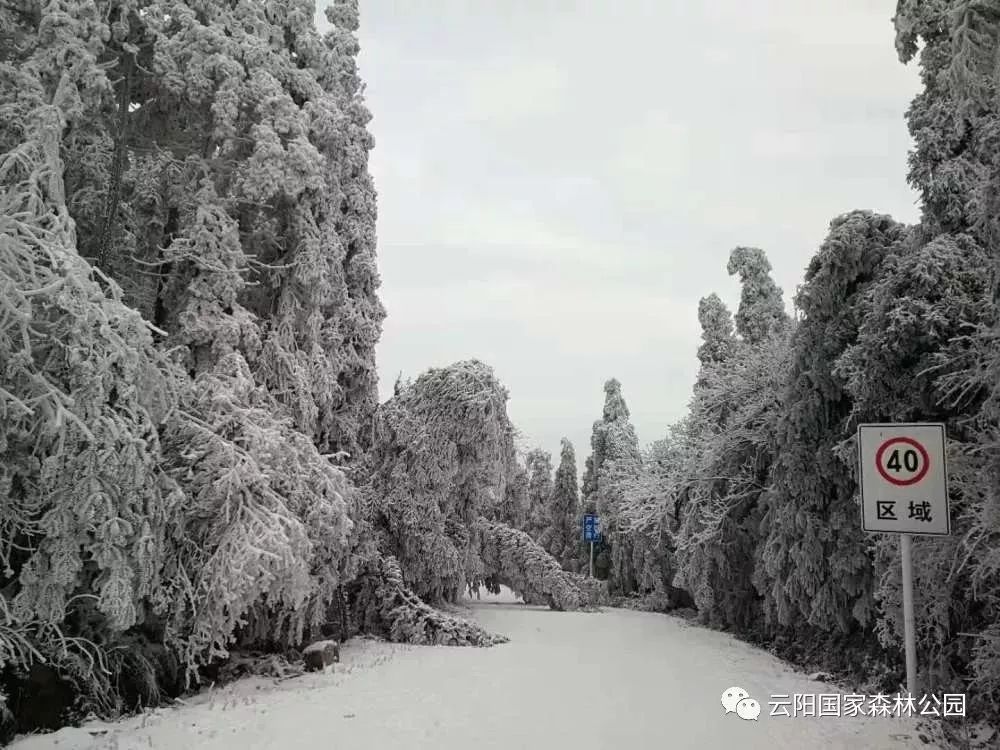 云阳山雪景 资料图