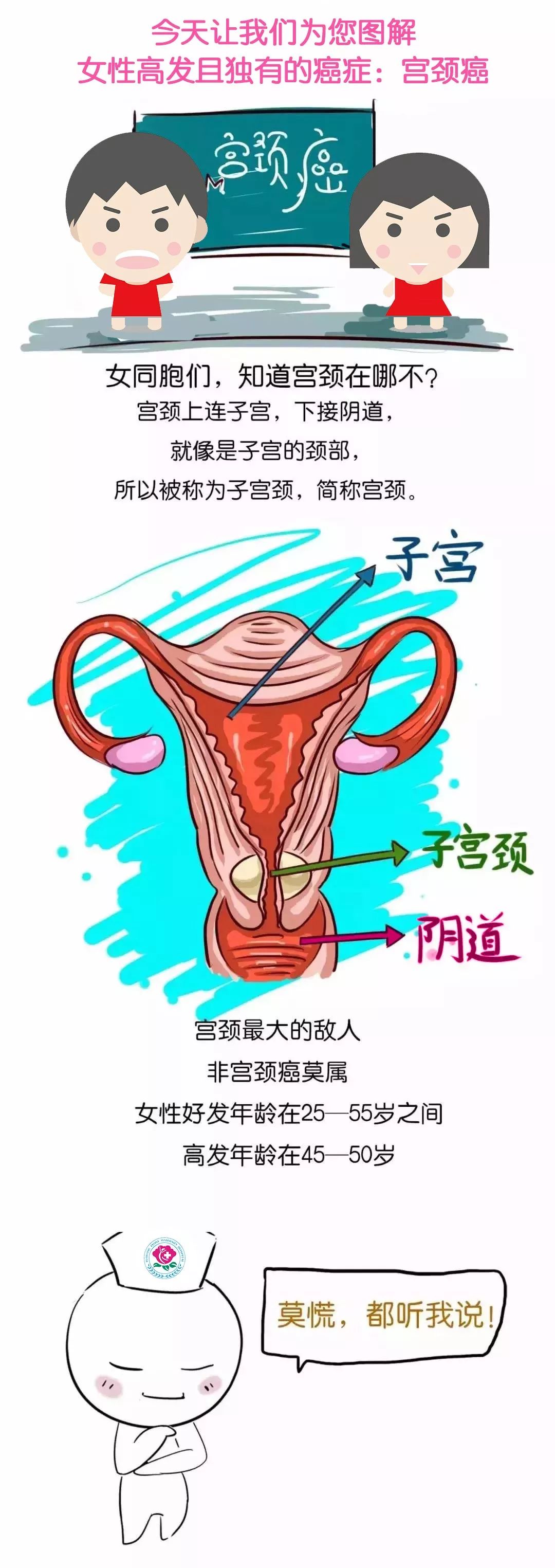 一图详解宫颈癌张掖女性看过来