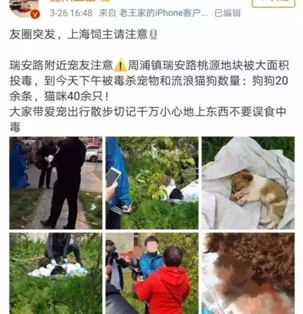 遗失死亡人口_死亡遗失图片