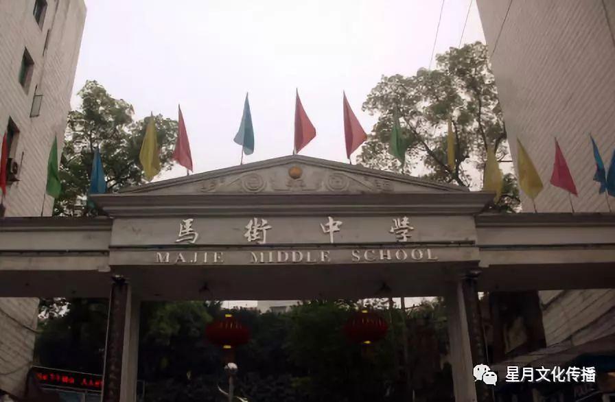 入选的分别是合江县马街中学校,合江县人民小学校.