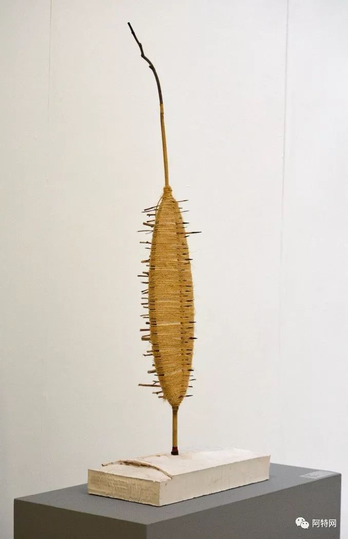 节外生枝 2015  石膏,竹子,麻绳,树枝  50x25x86cm