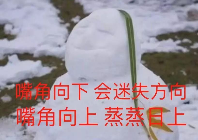 路过看到这样一个雪人 ? …… ? 正能量表情包 本包吗? ?