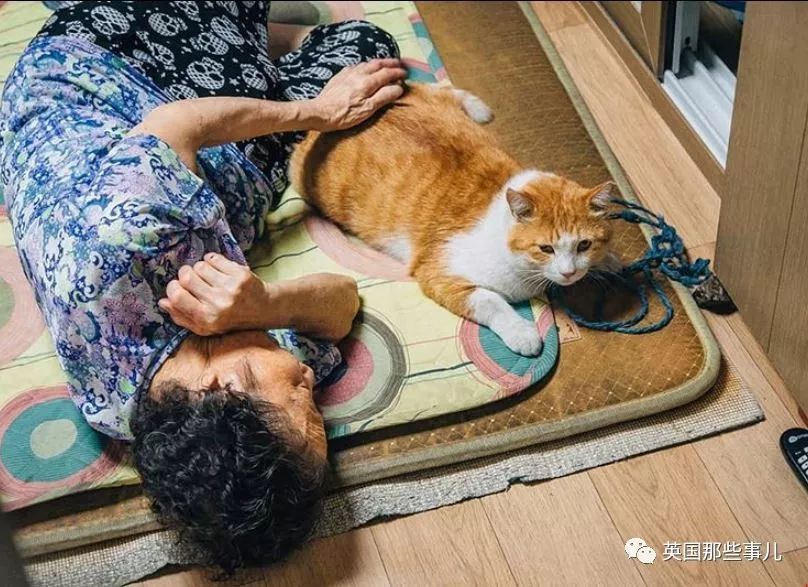 温暖被奶奶带大的胖橘果然跟其他橘猫的画风不太一样