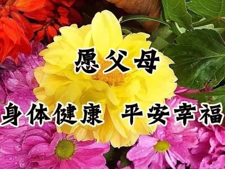 人这一生平安就好.