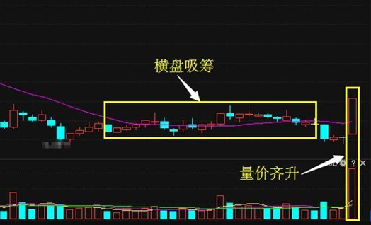 远志眀讲道系列视频