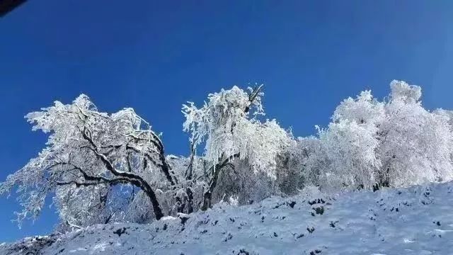 九鼎山太子岭丨成都电台汽车工作室带你激情滑雪