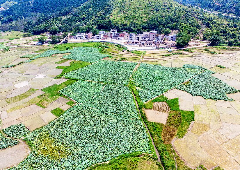 那你一定不能错过渔涝镇