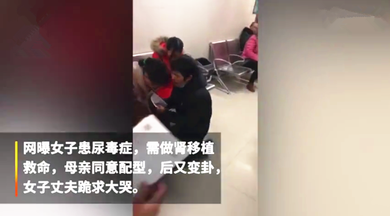 苦命夫妻: 妻子急需換腎救命其母配型成功答應又反悔， 丈夫跪求暈倒抽搐 娛樂 第2張