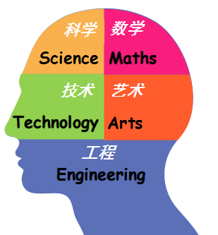 比如朋友给我推荐的 编程这门学科,就是steam教育最佳的代表.