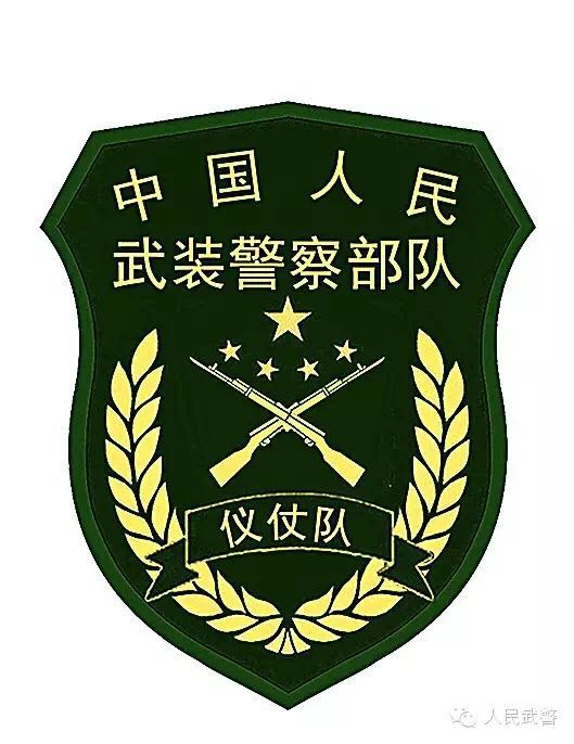 武警部队更换新式标志服饰新式臂章有五点不同_盾牌