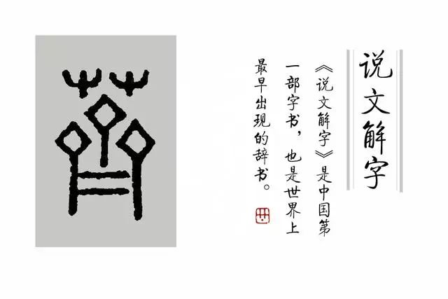 文解字》第64课:成语葑菲之采是什么意思,葑