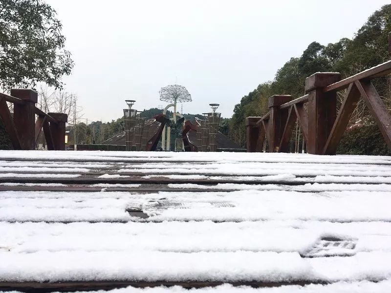 绵阳城区昨晚的雪景不是在朋友圈,这里才是最美的实景