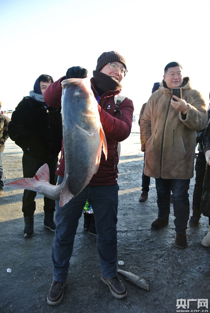 40斤头鱼拍出999999元的历史最高价 查干湖冬捕上鱼啦