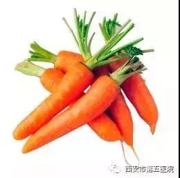 【蘿蔔說】藥食同源蘿蔔百科 未分類 第1張