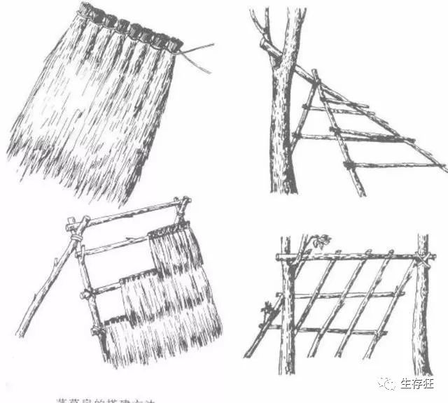 怎样搭建草席棚,草席棚比较适合有芦苇或蒲草等高大野草资源的地区,先
