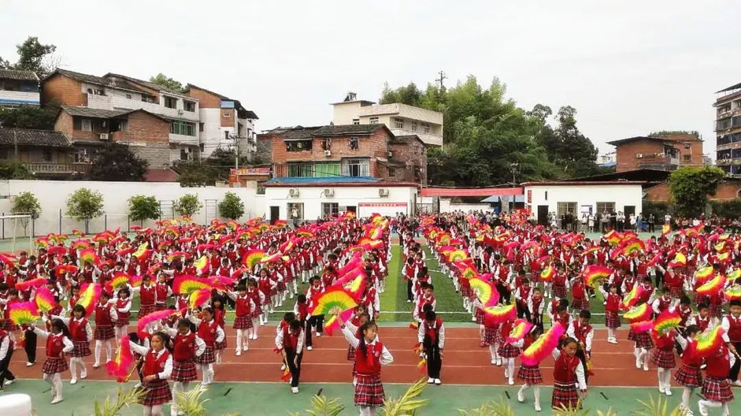 被评为重庆市"绿色使者"袁驿中学学生陈增堰被评为重庆市"绿色园丁"