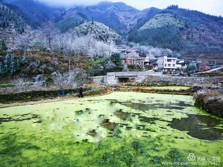 戳这里查看元旦假期天气