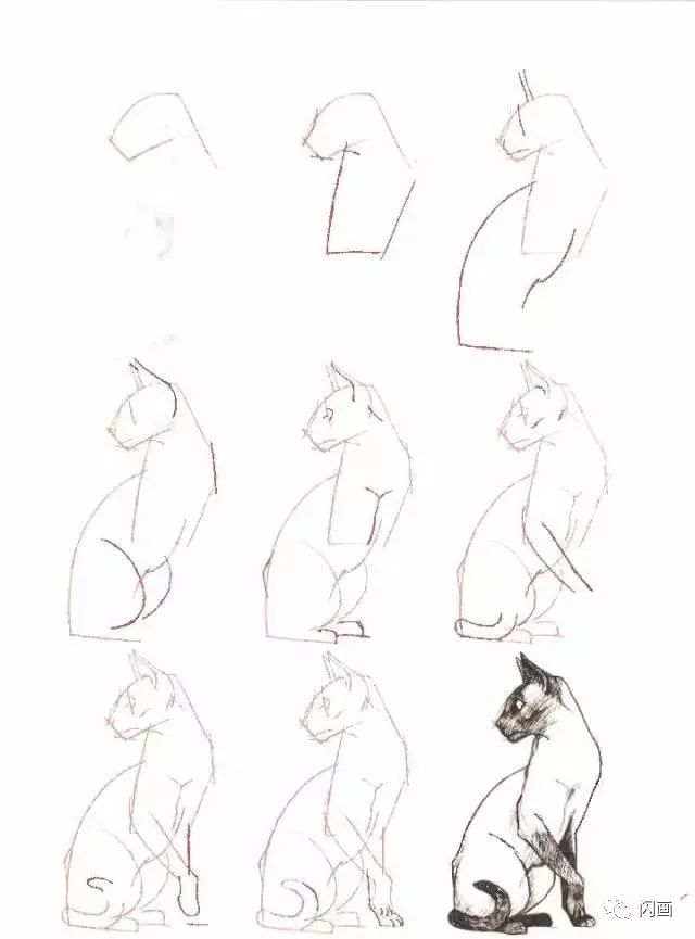 50个猫咪简笔画教程_漫画