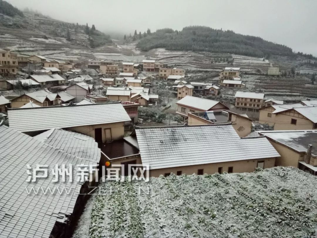 从今早开始,整个泸州都在等雪 谁料到,它下到了这里!_古蔺