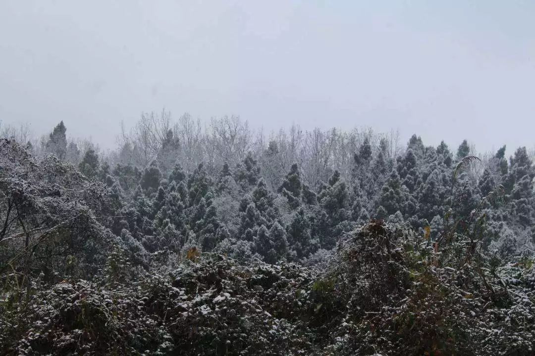 南岳区人口数据_南岳区控规图