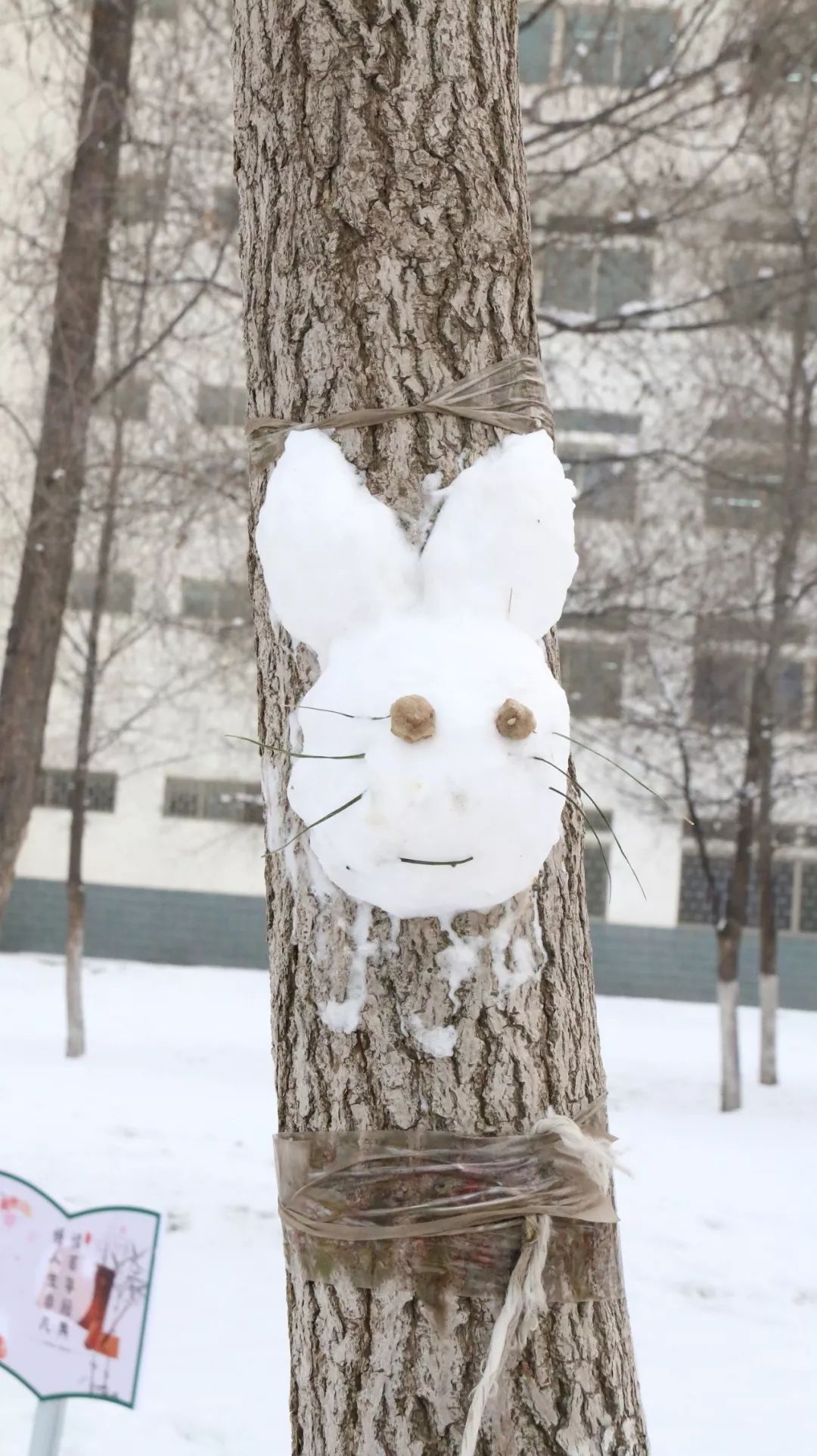 好嗨哦 甘农第一届堆雪人大赛