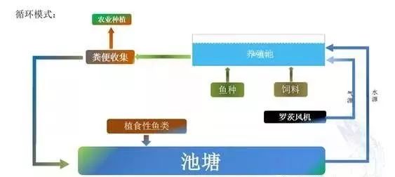 系统管理原理的要点是什么_幸福是什么图片