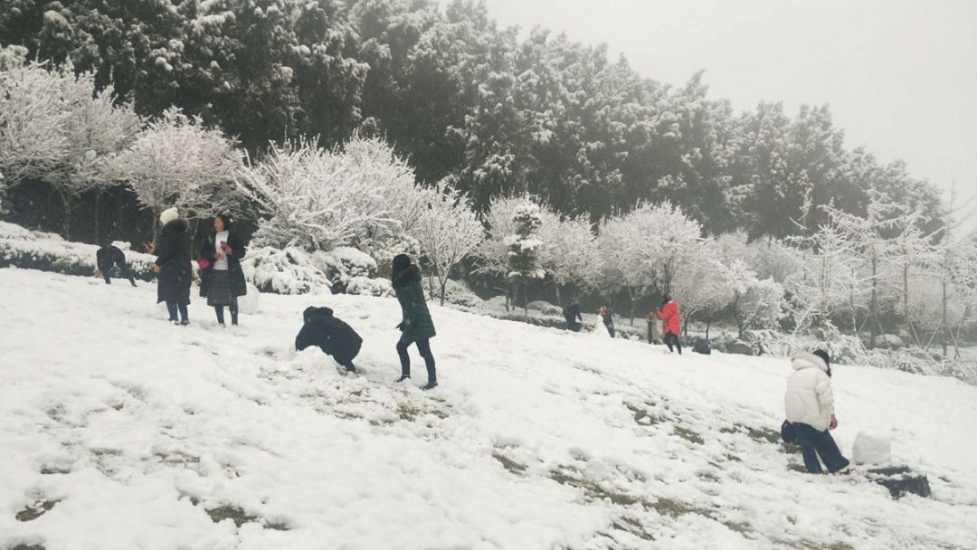 谁说巴中贫雪了白了头的巴中更美