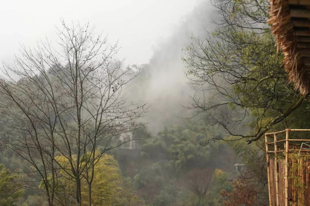 穿過暴雪和霧凇來睡你 遊戲 第18張