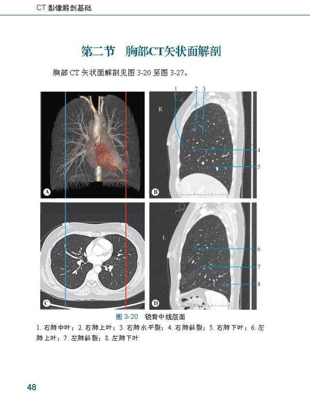 ct影像解剖基础——我是"ct快速入门丛书"老八,我也同样精彩!