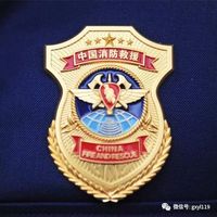 你好火焰蓝玉林市消防救援支队举行迎旗授衔和换装仪式