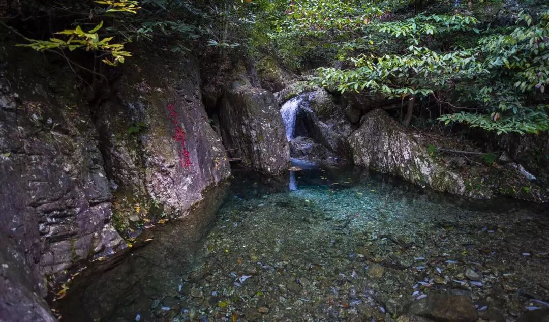 旅游 正文  雪花潭藏在村后的山上,沿着村中道路走到山谷尽头,就是