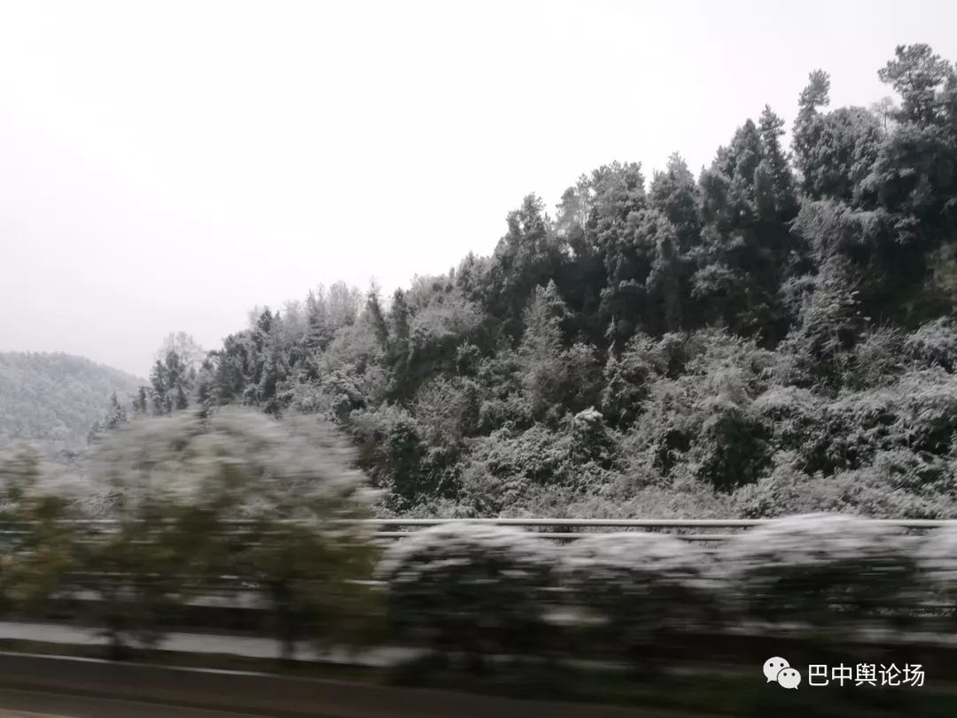 谁说巴中贫雪了白了头的巴中更美