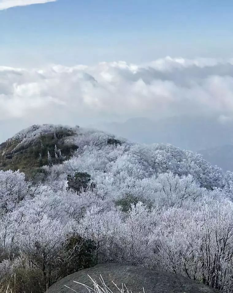 融水元宝山融水杆洞乡雪景特色:侗寨,梯田,山梁,组成的冰雪版"世外