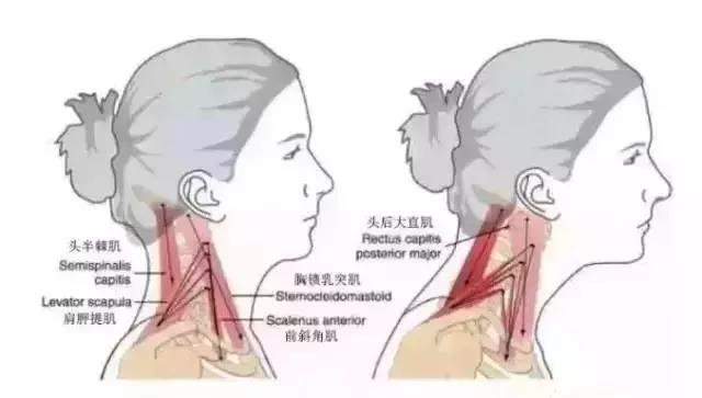 膝關節是要「省著用」？還是「用著省」？ 健康 第8張