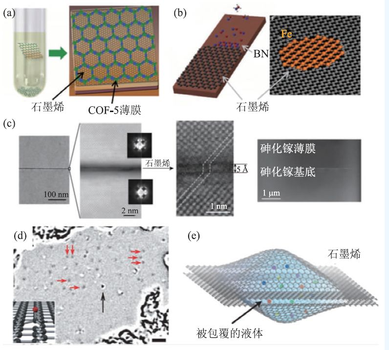 图7 将石墨烯用作基底(a)以石墨烯为衬底垂直生长其他材料:hhtp和pbba