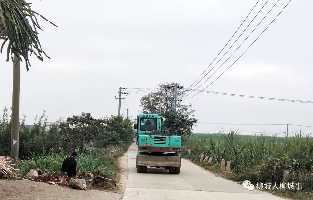 社冲乡人口_人口普查图片