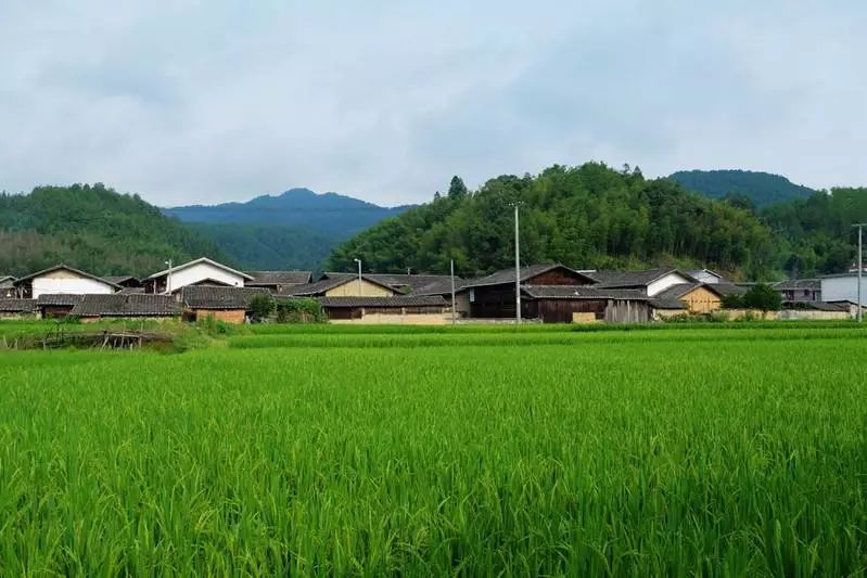 南涂山村有多少人口_宁夏有多少人口(3)