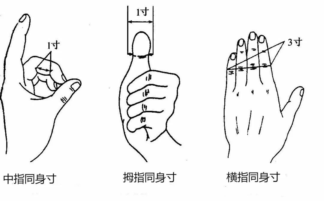 懂得了手指同身寸法,对于准确地找到穴位有很大帮助,但仍需要多练多