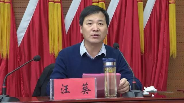 光山县人民政府副县长汪葵致辞