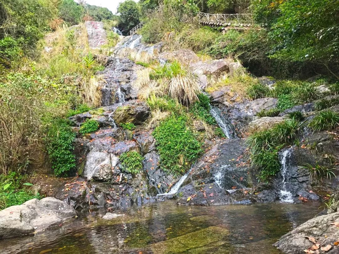 建筑路 红山花园三开间朝南 精装小洋房2楼,得房高 两卫两阳台